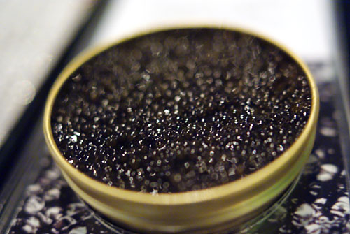 Le Caviar Osciètre