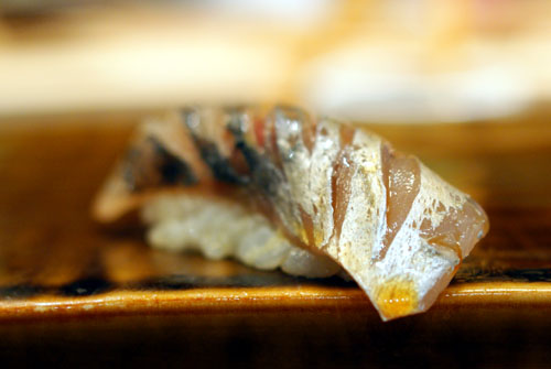 Aji / Spanish Mackerel