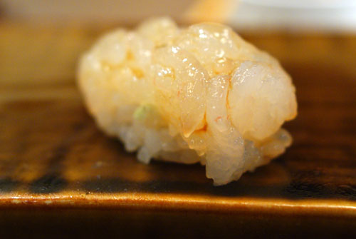 Shiro Ebi / White Shrimp