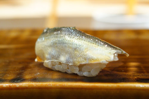 Kohada / Japanese Gizzard Shad