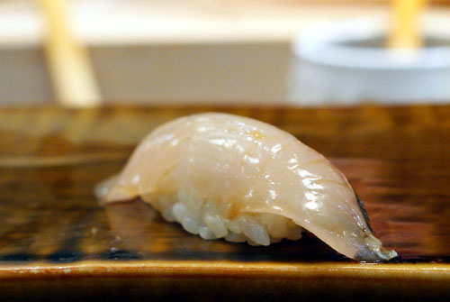 Shima Aji / Striped Jack