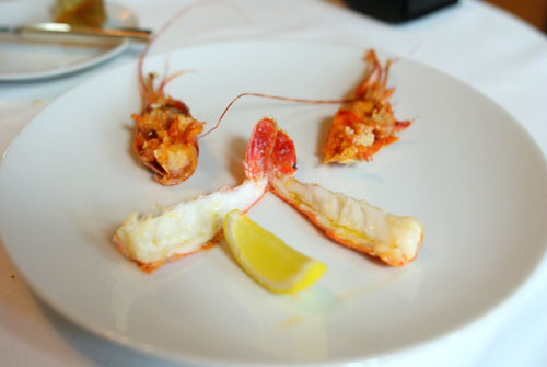 grilled santa barbara spot prawns