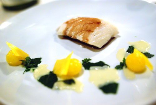 Halibut