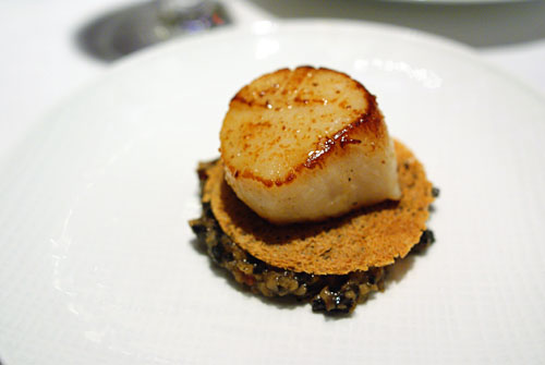 SCALLOP AND MELANO SPORUM TRUFFLE: Roasted Scallop on top of Truffled Biscotte