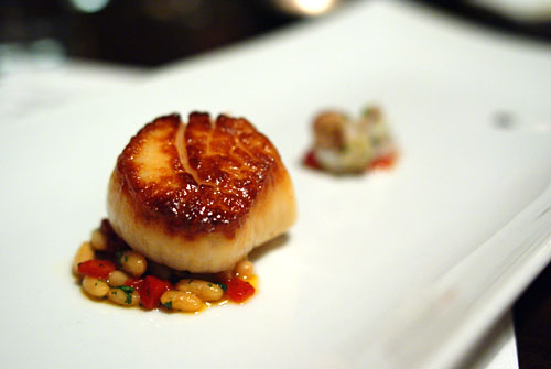 New Bedford Scallop