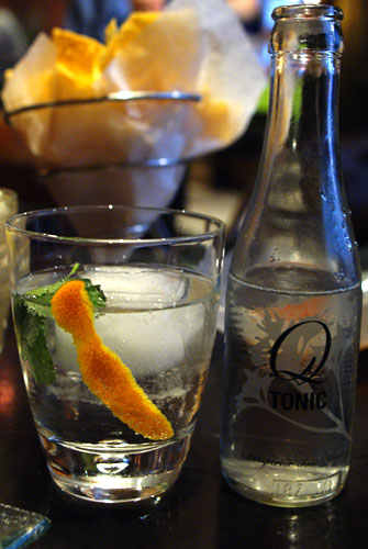 Mexican Gin and Tonic