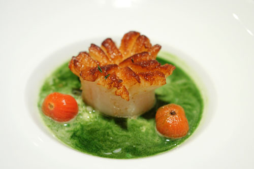 SCALLOP