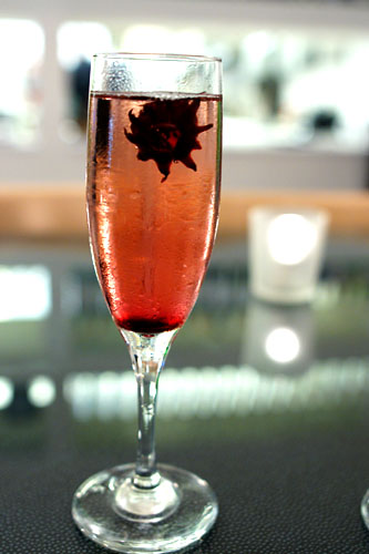 Hibiscus Champagne
