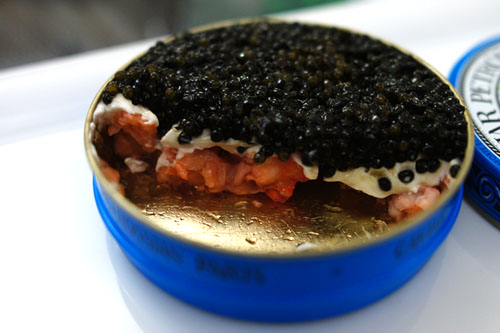 Caviar Surprise