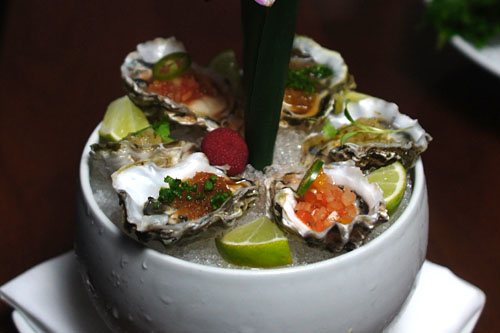 kumamoto oysters