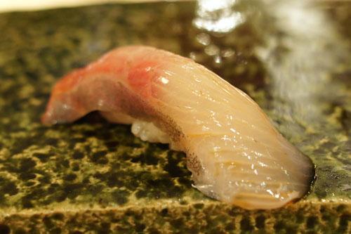 Kanpachi / Amberjack