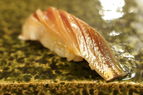 Kohada / Gizzard Shad