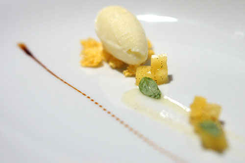 Pineapple Sorbet