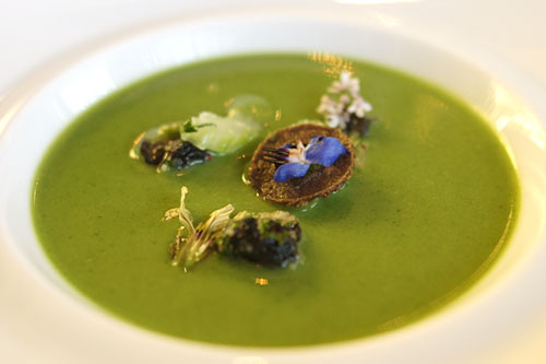 Velvety Nettle Velouté