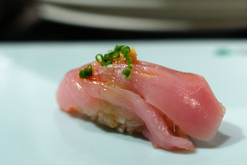 Shiro Maguro