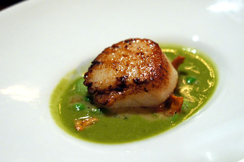 Day Boat Scallop