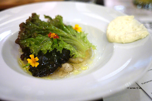 Kumamoto Oysters, Kimchi Consommé Gelée, Camembert Mousse, Apple