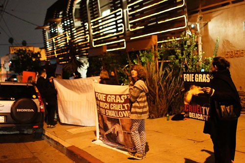 Foie Gras Protesters