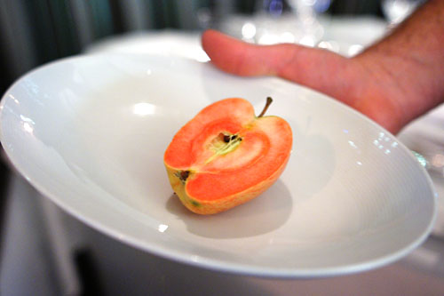 Hidden Rose Apple