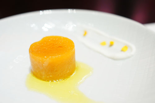 Frozen Apricot Coulant