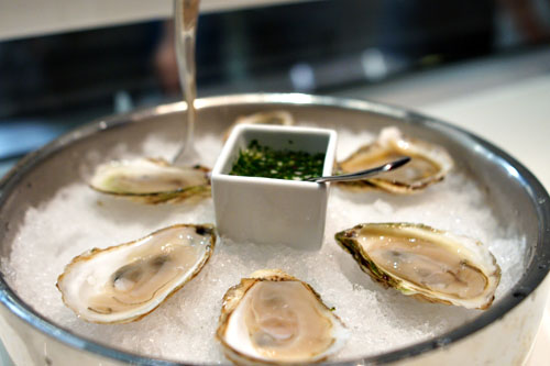 malpeque oysters (prince edward island)