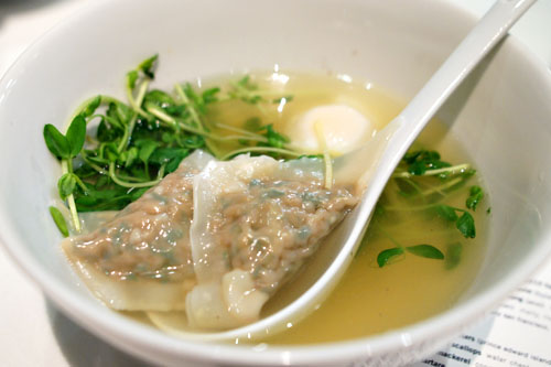 chicken dumpling soup