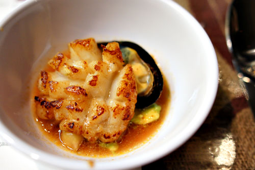 Scallop