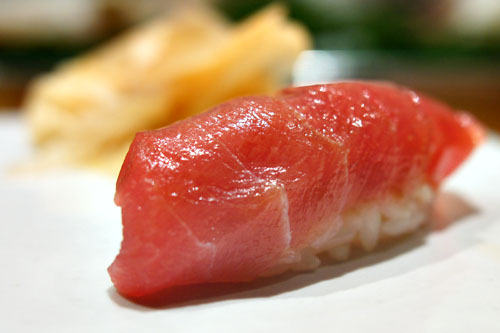 Medium Fatty Bigeye Tuna / Mebachi Chutoro