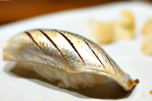 Gizzard Shad / Kohada