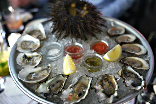 sea urchin / dozen oysters