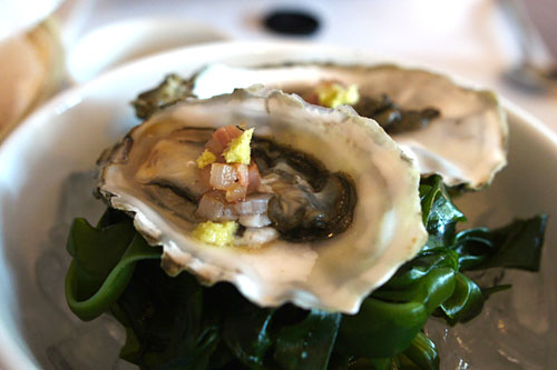 Fanny Bay Oysters/ Guanciale/ Wasabi/ Kelp.