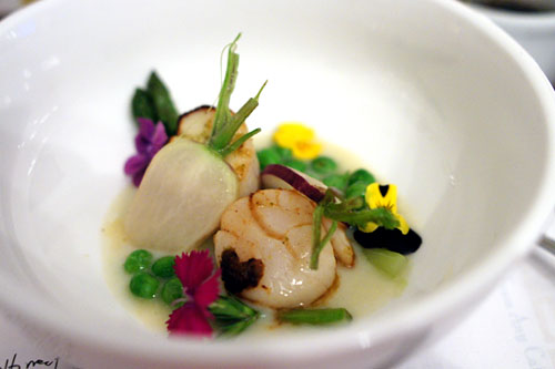 Sea Scallop/ English Peas/ Asparagus/ Radish/ Spring Onion Purée/ Yuzukosho.