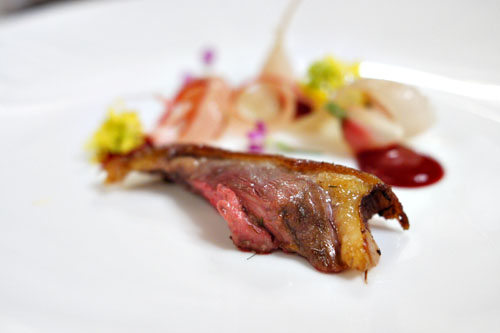 rhubarb, radish, wild squab & mustard