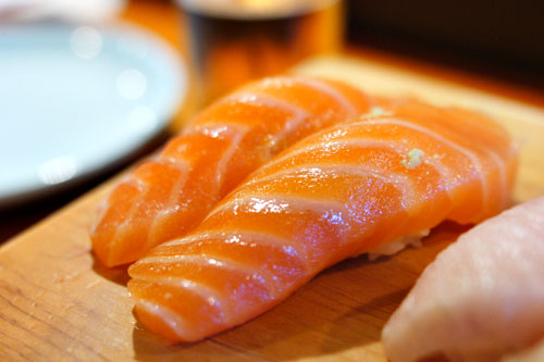 Salmon