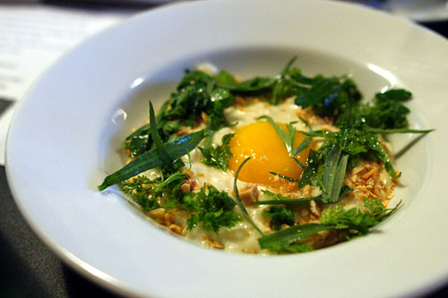 Époisses Cheese Risotto, Hazelnut, Egg Yolk, Herb Salsa