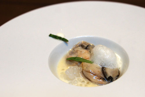 Oyster 'Japonaise'