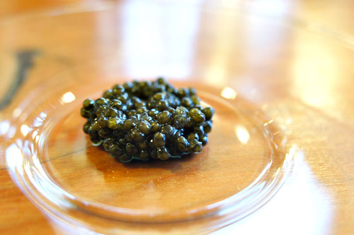 eggs: osetra caviar