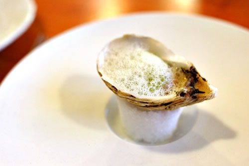 kusshi oyster
