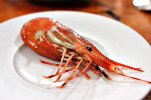 wild spot prawn