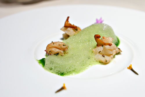 Tarragon Lobster, Yu Choy