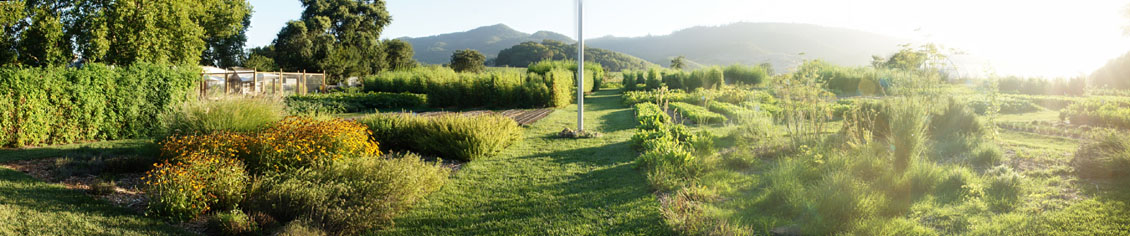 French Laundry Garden