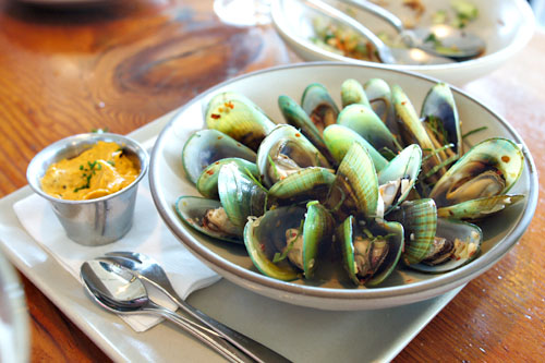 chilled greenlip mussels