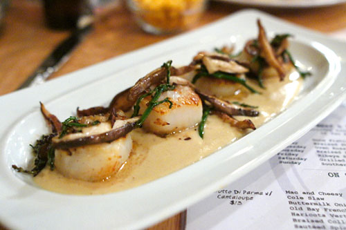 Local Sea Scallops, w/ Cauliflower Fondue & Wild Mushrooms