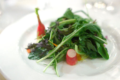 Local Lettuces, Flowers, and Herbs