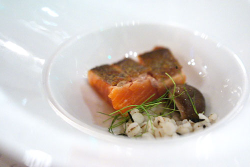 Ocean Trout