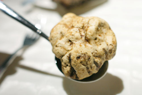 White Truffle