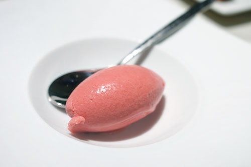 Strawberry-Coconut Sorbet