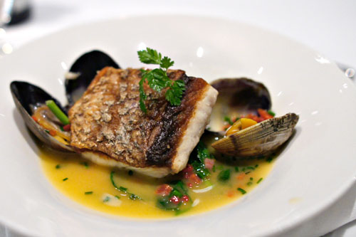 Mediterranean Sea Bass