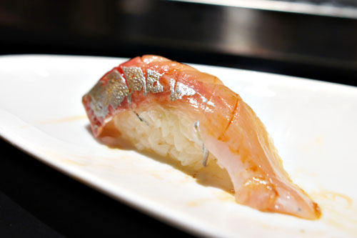 Jack Mackerel / Shima Aji