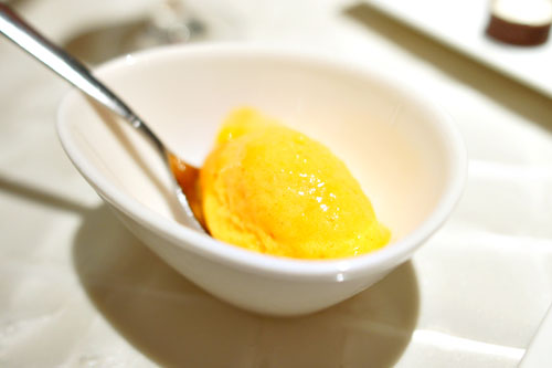 Persimmon Sorbet